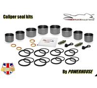 Kawasaki Z1000 SX Whf ABS 2017 Pinza Freno Anteriore Kit Revisione ZX1000