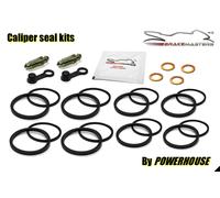 Kawasaki Z1000 SX Whf Di ABS 2017 Ant. Guarnizione Pinze Freni Kit Revisione Set