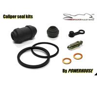 Kawasaki Z800 Ads 2013 Guarnizione Pinza Freno Posteriore Riparazione Kit ZR800