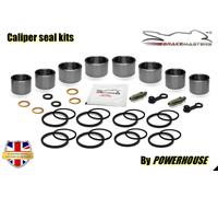 Kawasaki Z800 Ads 2013 Pistone Pinza Freno Anteriore Guarnizione Ricambi ZR800