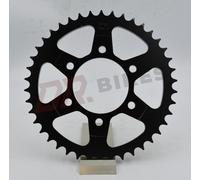 Kawasaki ZX10R D8-E (525 OE) 08-10 Pignone Posteriore In Acciaio AFAM 16610-42