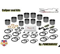 Kawasaki ZX12R Ninja B1 2002 Pistone Pinza Freno Anteriore Guarnizione Kit