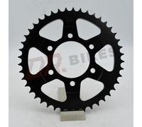 Kawasaki ZX6R ZX636 A1P 02 PIGNONE Posteriore In Acciaio AFAM 16610-44