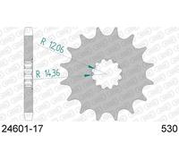 KAWASAKI ZZR 1400 PERFORMANCE SPORT ABS 1400 PIGNONE AFAM 24601-17 PASSO 530