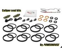 Kawasaki ZZR1100 D1 1993 Ant. Guarnizione Pinze Freni Kit Riparazione Revisione