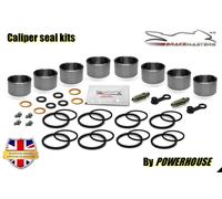 Kawasaki ZZR1100 D1 1993 Pistone Pinza Freno Anteriore Guarnizione Ricambi