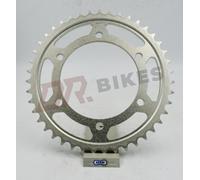 Kawasaki ZZR600 E1-E14 93-06 Pignone Posteriore In Acciaio AFAM 16603-43