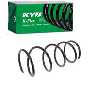 KAYABA KYBRA1974 Kayaba Amm.(A) Molle