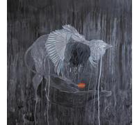 Kayo Dot Every rock, every half-truth under reason (CD) with Book