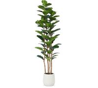 Kazeila Ficus Lyrata Artificiale 180cm Pianta Finta Alta da Interno con Vasetto,Piante Artificiali Albero Finto da Interno Decorazioni Casa Camera da Letto Balcone(1Pack)