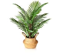 Kazeila Palma Artificiale 70cm Piante Artificiali Grandi da Interno e Esterno Piantina Finta Decorativa per Casa Balconi Ufficio Moderna Decorazione (1Pack)