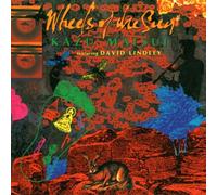 KAZU MATSUI & DAVID LINDLEY - Wheels of the Sun