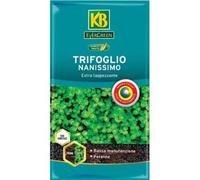 KB Semi Prato Trifoglio NANISSIMO CONFETTATO - SEMENTI per Tappeto ERBOSO 100GR