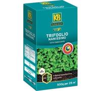 Semi per prato Trifoglio Nanissimo Evergreen