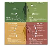 KCDFDVJFBM 4 Heat Related Illnesses and Heat Stroke Guide Educational Infographic Poster Symptoms Prevention Canvas Wall-Art(Framed,12x18inch(30x45cm))