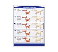 KCDFDVJFBM Animal Body Condition Chart Poster - Cat and Dog Body Condition Score Guide on Canvas, Wall-Art for Vet Clinic(Unframed,12x18inch(30x45cm))