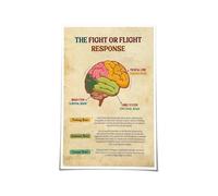 KCDFDVJFBM Brain Anatomy & Trauma - The Fight or Flight Response Nervous System Chart, Mental Health Education Wall-Art for Office and Classroom(Unframed,16x24inch(40x60cm))