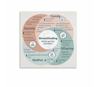 KCDFDVJFBM Breastfeeding: A Supportive Guide Poster, Heartwarming Canvas Art for Nursing Room, Waiting Area, Home Decor(Unframed,16x24inch(40x60cm))