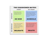 KCDFDVJFBM Decorate Your Office Eisenhower Matrix Poster Productivity Wall-Art Print Focus Planner Decision Maker Tool for Corporate Workplace Home Office(Unframed,08x12inch(20x30cm))