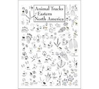 KCDFDVJFBM Eastern North America Wildlife Tracks, Animal Footprint Identification Guide, Educational Nature Poster for Children's Room, School Science Decor(Unframed,08x12inch(20x30cm))