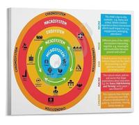 KCDFDVJFBM Ecological Systems Model Academic Poster for Counseling Psychology Social Work University Training Wall-Art(Framed,16x24inch(40x60cm))