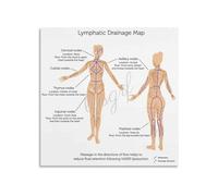 KCDFDVJFBM Educational Lymphatic System Anatomy Poster Human Body Biology Chart Canvas Wall-Art Print For Nursing Student Office Study Room Decor(Framed,12x18inch(30x45cm))