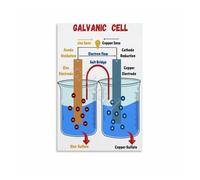 KCDFDVJFBM Electrochemical Cell Poster Galvanic Voltaic Cell Science Classroom Canvas Wall-Art for School Laboratory Study Room Decor(Framed,12x18inch(30x45cm))