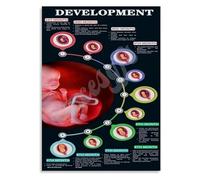 KCDFDVJFBM Expecting Mother Gift Fetal Development Chart Poster Pregnancy Timeline Canvas Wall-Art for Nursery Decor Guide(Framed,12x18inch(30x45cm))