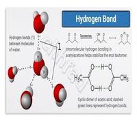 KCDFDVJFBM Hydrogen Bonds Chemistry Poster Educational Science Wall-Art Diagram for Students Teachers and Labs(Unframed,16x24inch(40x60cm))
