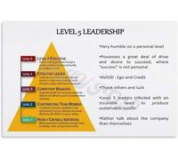 KCDFDVJFBM Leadership Progression Model Poster Career Advancement Chart Wall-Art for Office Wall Supervisor Training Corporate Culture Home Study Room(Framed,16x24inch(40x60cm))
