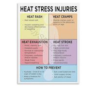 KCDFDVJFBM Preventing Heat Stress Injuries Poster Infographic on 4 Heat Related Conditions Educational Guide for Home Decor(Unframed,16x24inch(40x60cm))