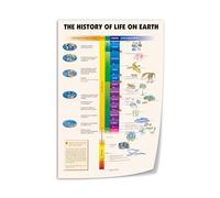 KCDFDVJFBM SaiFfe History of Life on Earth Poster - Evolution Timeline & Geological Eras Canvas Print, Educational Wall Art for Office, Study(Unframed,16x24inch(40x60cm))