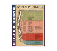 KCDFDVJFBM SPINAL NERVE FUNCTION POSTER Anatomical Nerve Pathways Chart Visual Guide for Chiropractic Care Office Clinic Hospital Home Decor(Unframed,08x12inch(20x30cm))