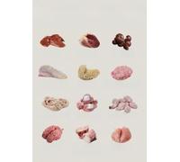 KCDFDVJFBM Types of Organ Meat, Healthy Eating Guide with Liver, Heart, Kidney, Brain, Nutrient Chart for Kitchen, Living Room, and Office Wall Decor(Framed,08x12inch(20x30cm))