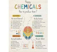KCDFDVJFBM Understanding Your Happy Chemicals Poster Neuroscience Basics Educational Wall Chart for School Classroom Teacher or Homeschool Decor(Unframed,08x12inch(20x30cm))