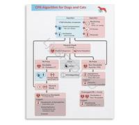 KCDFDVJFBM Vet Emergency First Aid Poster Veterinary CPR Algorithm and Procedure Chart Canvas for Veterinary School Training(Unframed,12x18inch(30x45cm))