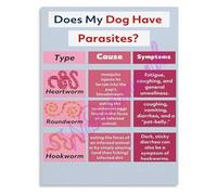 KCDFDVJFBM Veterinary Parasites Chart Common Dog and Cat Parasites Educational Poster for Animal Hospital Clinic and Pet Owners(Framed,12x18inch(30x45cm))