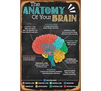 KCDFDVJFBM Vintage Brain Anatomy Poster - Retro Medical Art Print, Neurology Chart for Doctor Office, Study Room, Library & Science Classroom Decor(Framed,12x18inch(30x45cm))