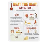 KCDFDVJFBM Workplace Poster Beat The Heat Extreme Heat Infographic Guide Canvas for Environment Work(Framed,12x18inch(30x45cm))