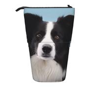 KCGSDEGV Astuccio espandibile con stampa Border Collie, per penne scolastiche, trucchi e viaggi, per studenti e artisti