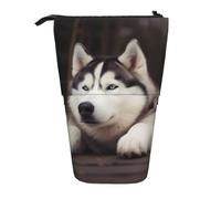 KCGSDEGV Astuccio espandibile con stampa di un cane husky, organizer per penne scolastiche, trucchi e viaggi, per studenti e artisti