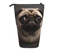 KCGSDEGV Grazioso astuccio espandibile con stampa di un carlino, organizer per penne scolastiche, trucchi e viaggi, per studenti e artisti