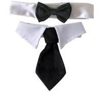 KCHSRKHXC 2 pezzi cravatte per animali domestici con papilla cravatta per gatto collare accessori eleganti per matrimoni feste di compleanno comodi design resistente per cani gatti