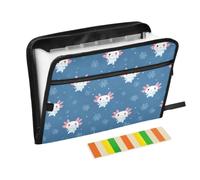 Kcldeci Axolotl Blue Snowflake - Cartella portadocumenti espandibile | Organizer per documenti a fisarmonica con 13 tasche, formato A4, per documenti e ricevute