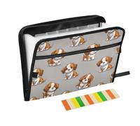 Kcldeci Cartella portadocumenti espandibile Cavalier King Charles Spaniel | Organizer per documenti a fisarmonica con 13 tasche, formato A4, per documenti e ricevute