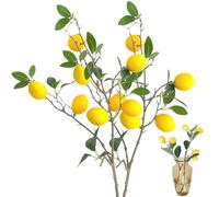KDAMGOQE 2 Pezzi Rami di Limoni Artificiali, Stoffa di Seta duratura da 31, 5 Pollici e Piante di Limoni fauci pianta realistica per Decorazioni da Tavolo da Cucina per la casa