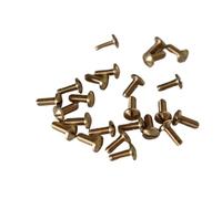 KE88FENG 50 Viti di Protezione for Sassofono, Viti in Rame da 3 mm, Accessori for Strumenti Musicali, Parti di Riparazione