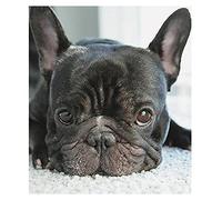 KEALLANS 5D Pittura Diamante DIY Punto Croce Piccola Testa di Cane Nero Diamante Pieno Ricamo Bulldog Francese Diamante Rotondo Cucciolo