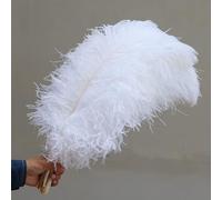 KEBOOT 10 pz Soffice Piuma di Struzzo Bianco Grande Centrotavola per Tavola di Nozze Decor Plume per Accessori Artigianali Carnevale 15-60 cm
