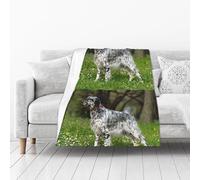 KEDDJI Setter inglese Prato Animali domestici Cani Setter inglese Coperta calda in pile di flanella, morbida e soffice, da usare come copriletto/lenzuola 102 x 127 cm
